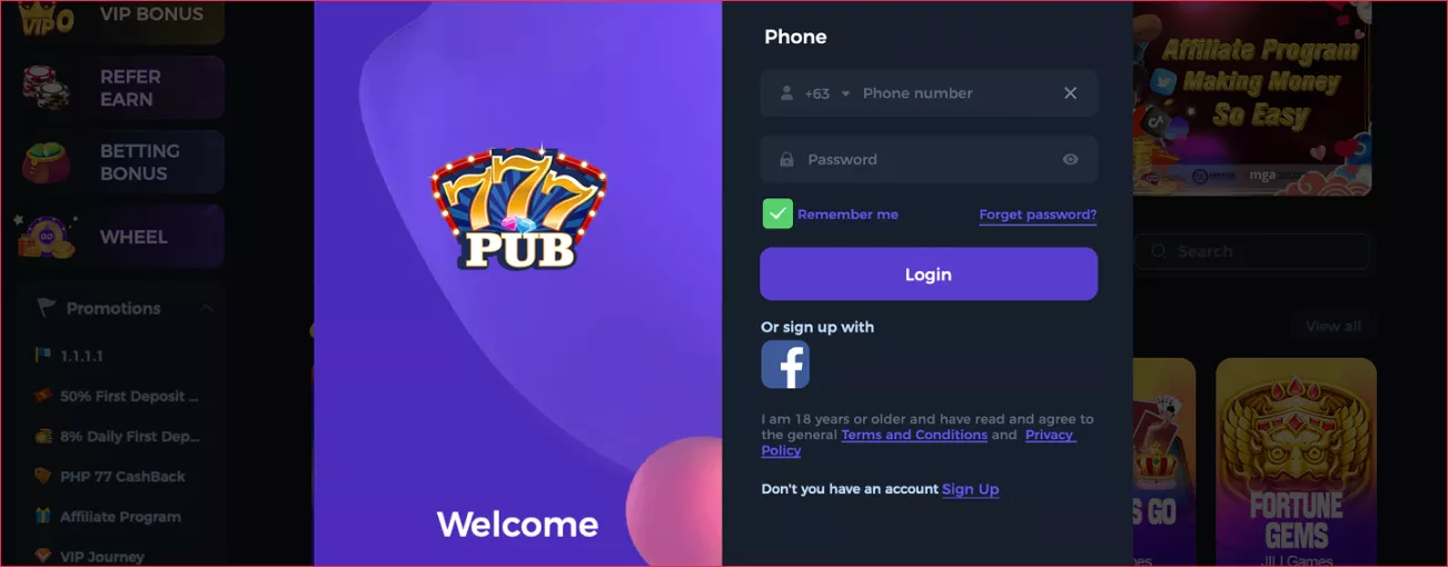 Login and password input